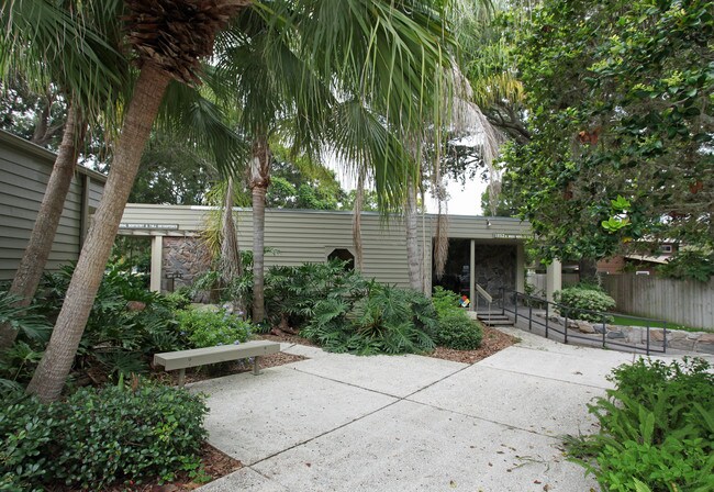 Plus de détails pour 1952 Bayshore Blvd, Dunedin, FL - Bureau à louer