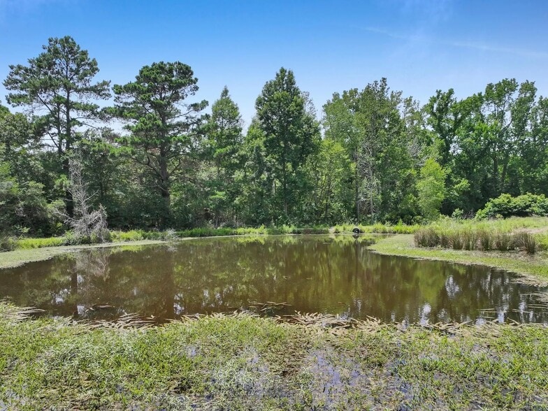 8323 County Road 292, Buffalo, TX à vendre - Autre - Image 3 de 63