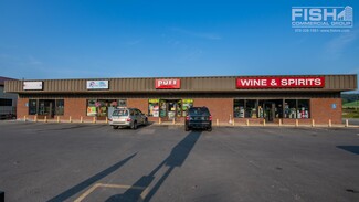 Plus de détails pour 2061 Lycoming Creek Rd, Williamsport, PA - Vente au détail à louer