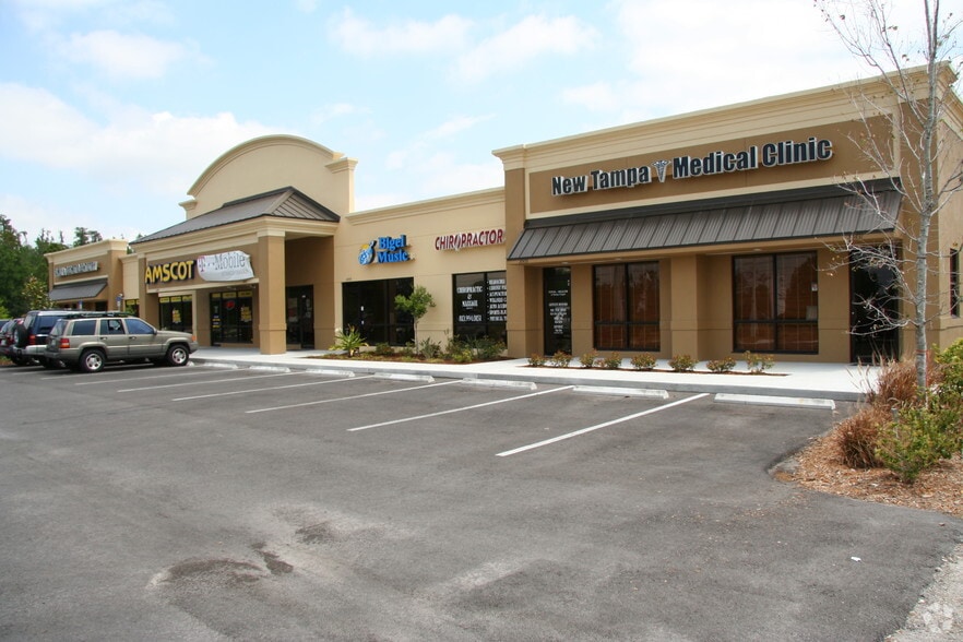 17501 Preserve Walk Ln, Tampa, FL for lease - Building Photo - Image 2 of 12