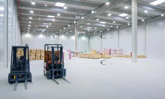 Plus de détails pour Flex à vendre