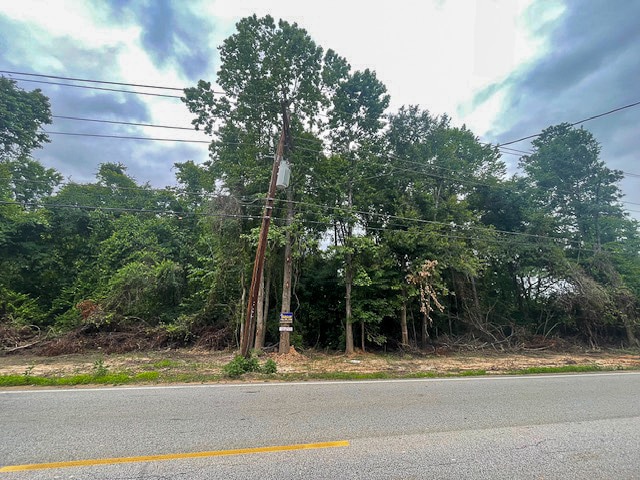 Sleepy Hollow Road, Conroe, TX for sale - Building Photo - Image 3 of 13
