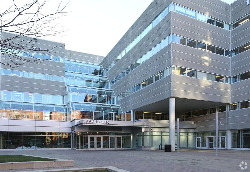 1550 Main St, Springfield, MA à louer - Photo du bâtiment - Image 1 de 3