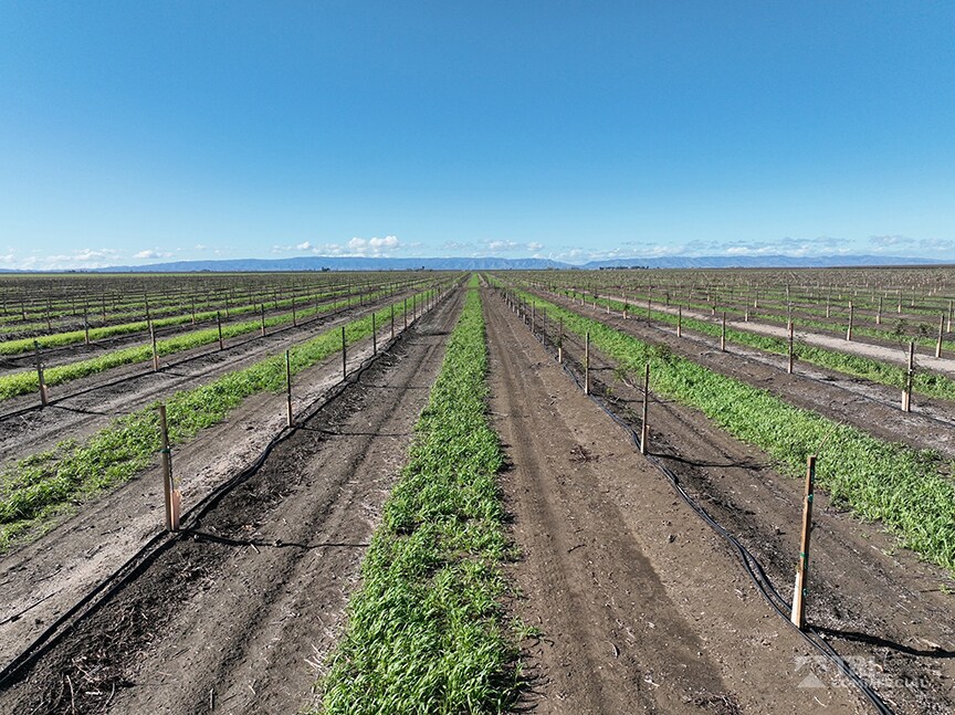 8535 Bulkley Rd, Dixon, CA à vendre Photo du bâtiment- Image 1 de 1