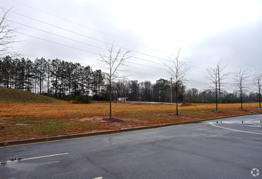 Hwy 74 & Carriage Oaks Dr @ Swanson Road, Tyrone, GA for sale - Primary Photo - Image 1 of 2