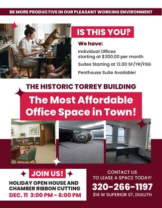 Plus de détails pour 314 W Superior St, Duluth, MN - Bureau à louer