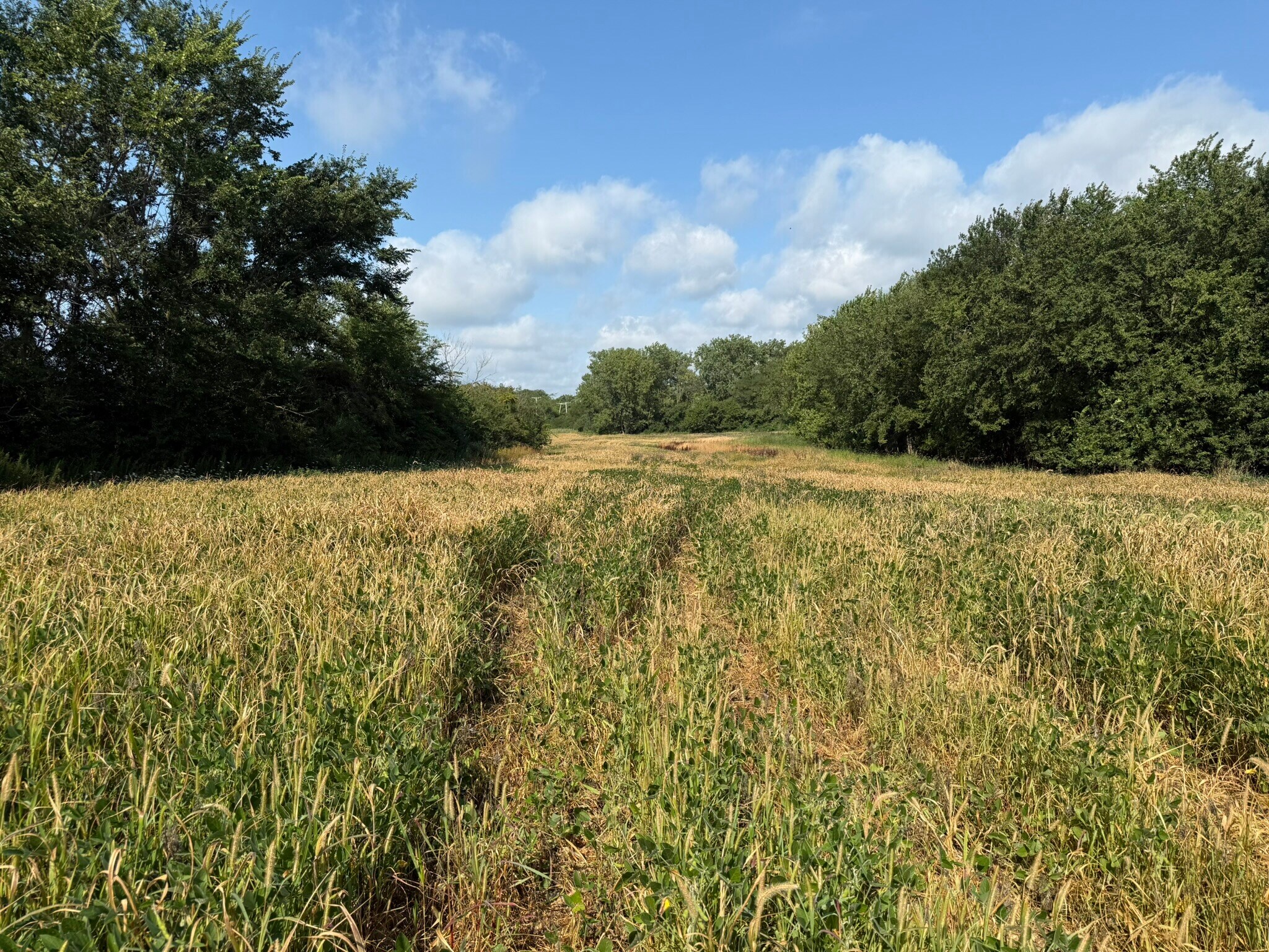 1404 W. Exchange St., Crete, IL à vendre Photo principale- Image 1 de 25