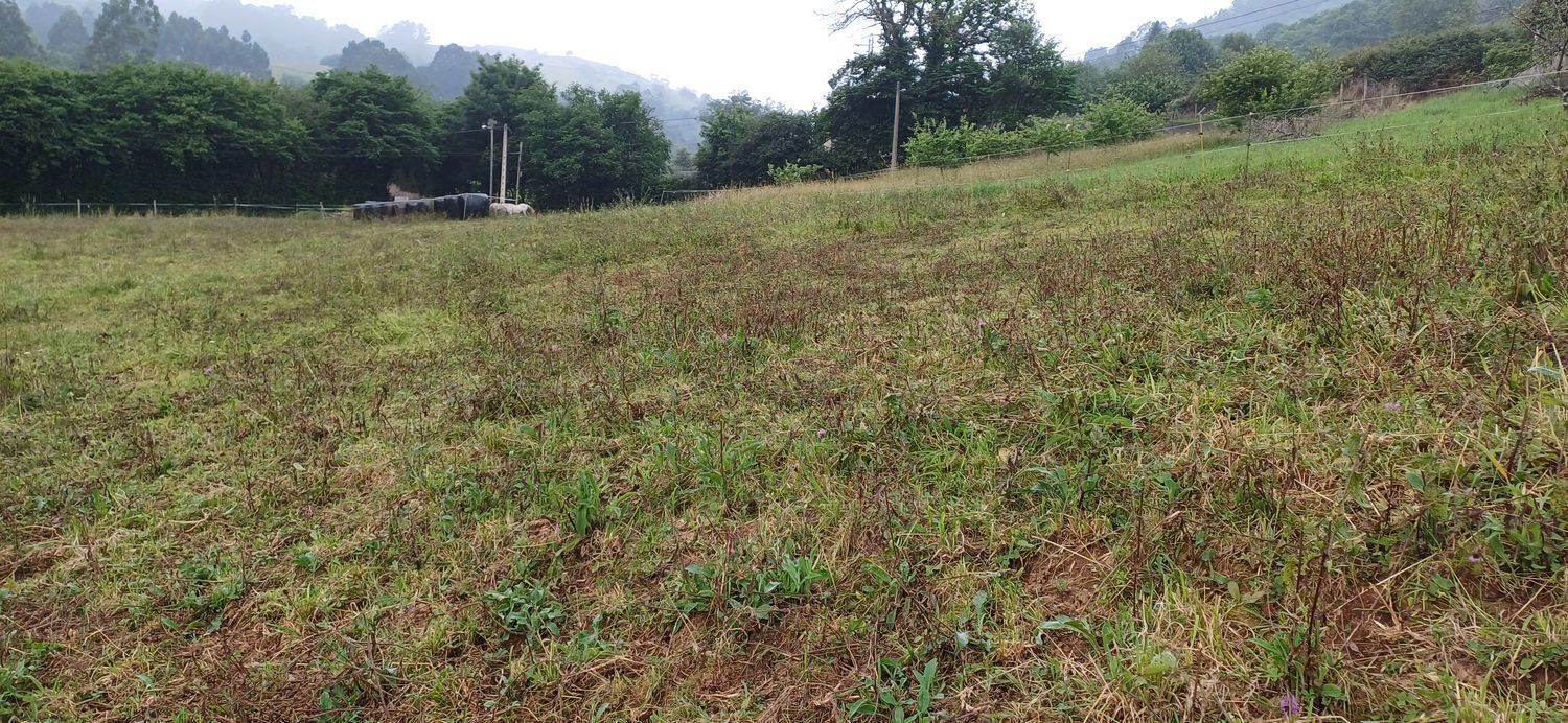 Pomarada Barrero. Illas, S/N, Illas, Asturias à vendre Photo du bâtiment- Image 1 de 14