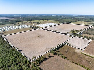 Plus de détails pour TBD NE Daisy St st, Madison, FL - Terrain à vendre