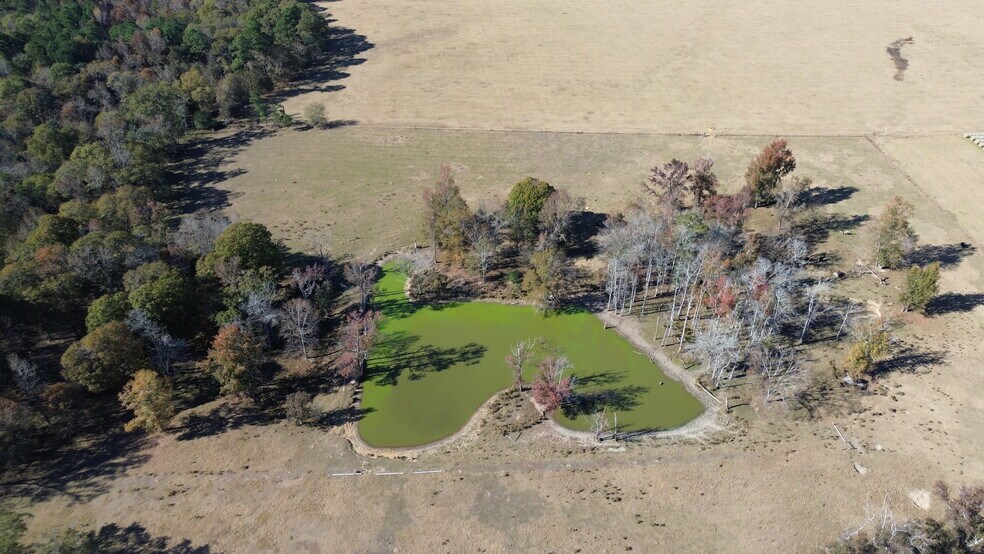 269 Pea Ridge Rd, Montrose, GA à vendre - Aérien - Image 2 de 22