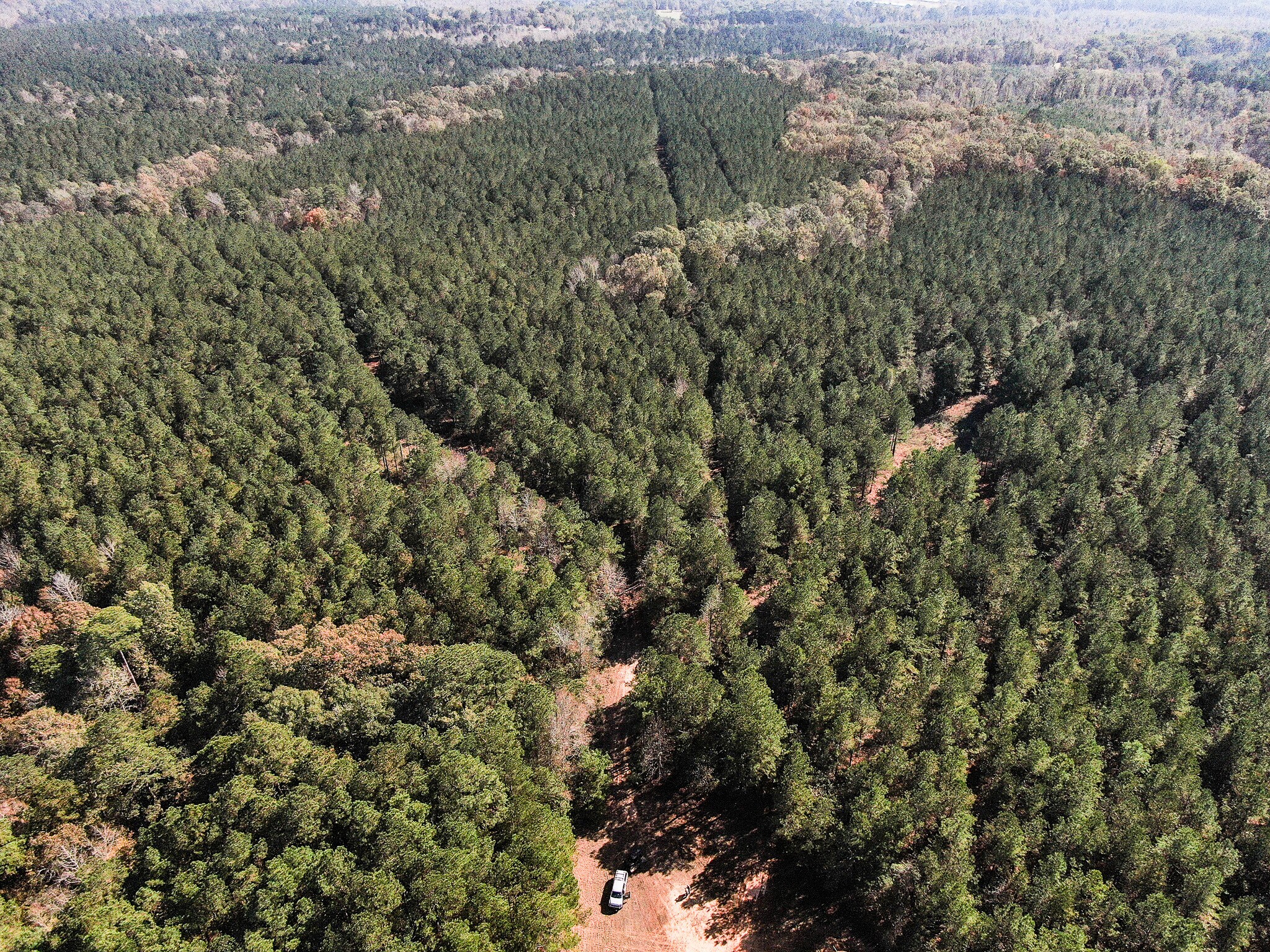 Airline Rd., Dubach, LA à vendre Photo du bâtiment- Image 1 de 12