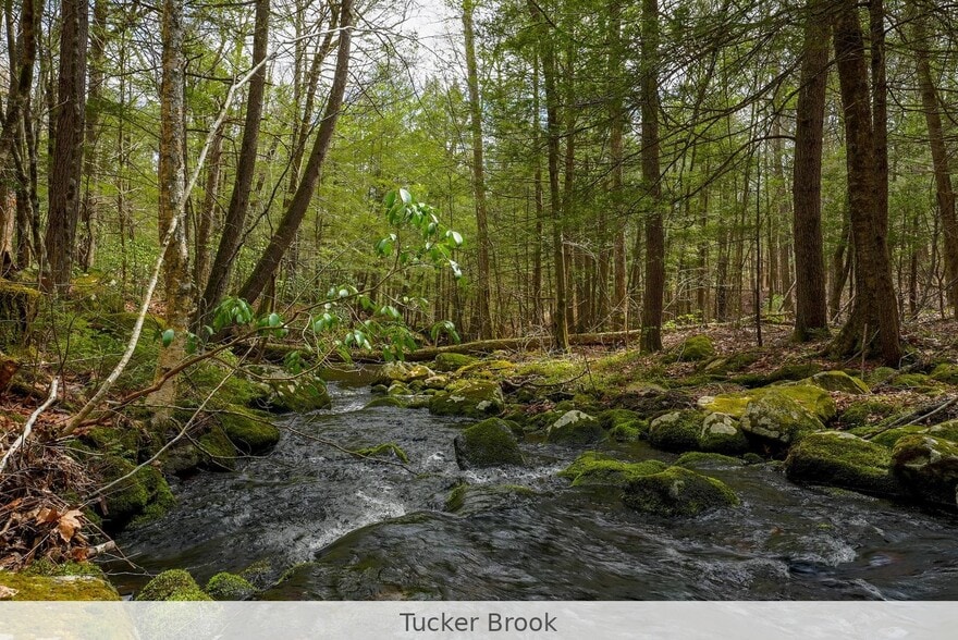 291 Fomer Road, Southampton, MA for sale - Building Photo - Image 2 of 16
