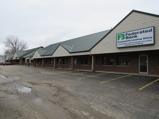 More details for 264-272 S Front St, Braidwood, IL - Retail for Lease