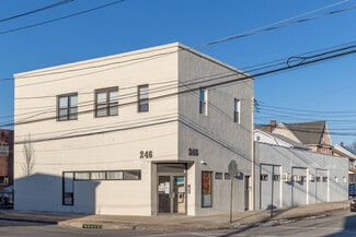 Plus de détails pour 246 Mineola Blvd, Mineola, NY - Bureau à louer