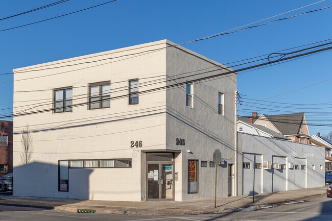 Plus de détails pour 246 Mineola Blvd, Mineola, NY - Bureau à louer