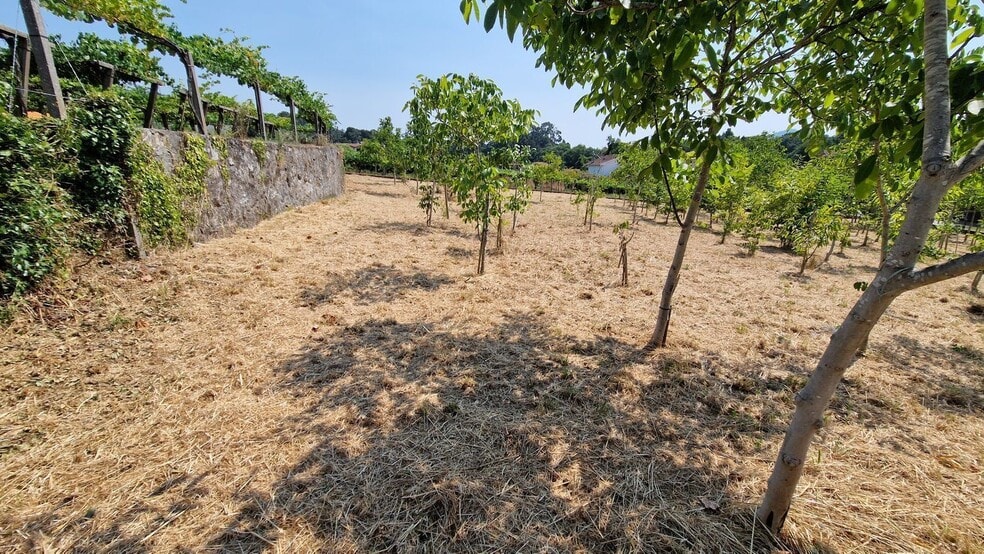 Land in O Rosal, Pontevedra for sale - Primary Photo - Image 2 of 21