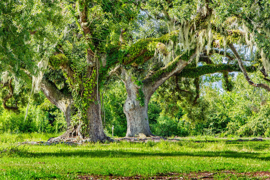 Progressive, Houma, LA à vendre - Photo du bâtiment - Image 2 de 12