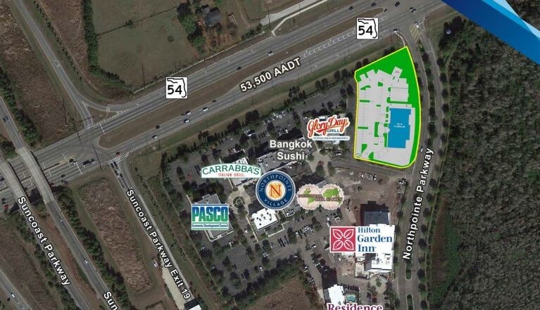 16611 Pointe Village Dr, Lutz, FL à louer - Photo du bâtiment - Image 2 de 13