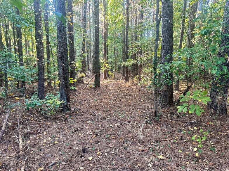 00 NE Hwy 411, Rydal, GA à vendre - Autre - Image 3 de 24