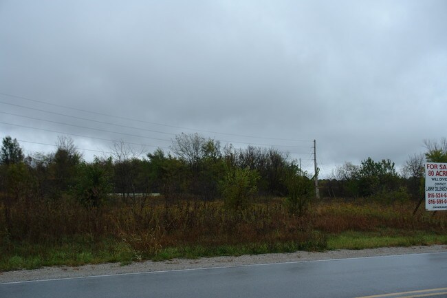 Plus de détails pour 291 Hwy, Lee's Summit, MO - Terrain à vendre