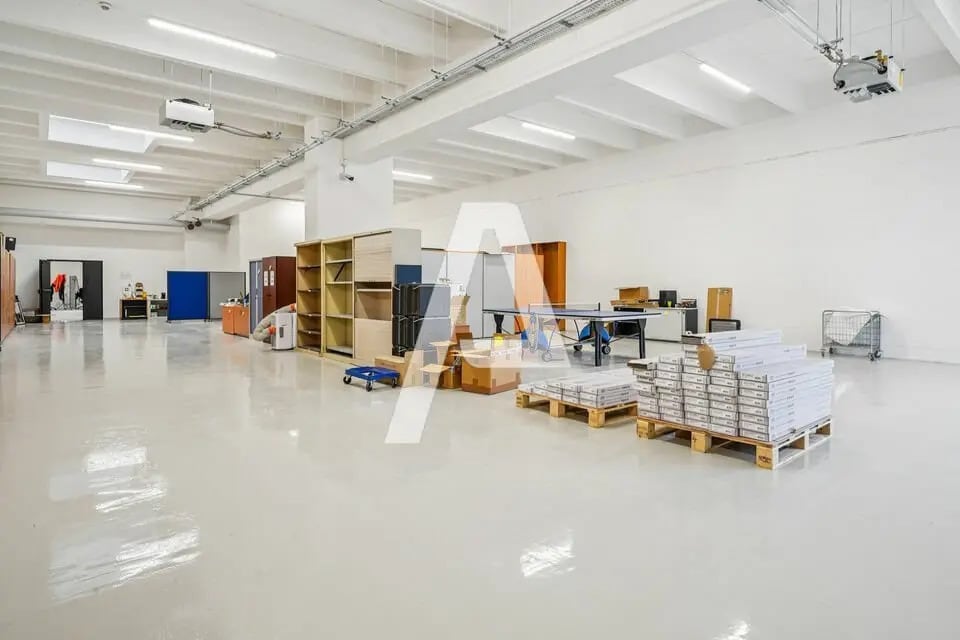 Flex in Rungis for lease Interior Photo- Image 1 of 6