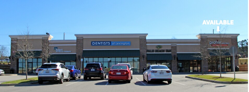 5220 Sunset Blvd, Lexington, SC à louer - Photo principale - Image 2 de 3