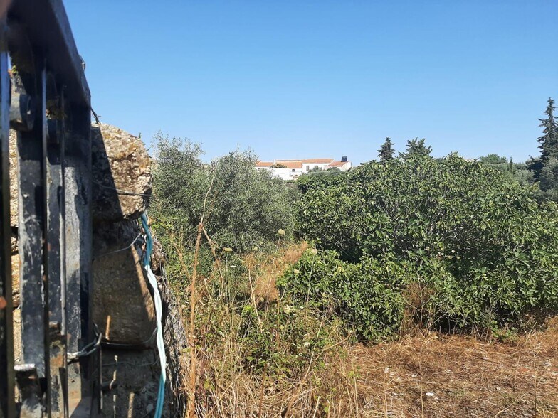 Land in Casas de Don Antonio, Cáceres for sale - Primary Photo - Image 1 of 12