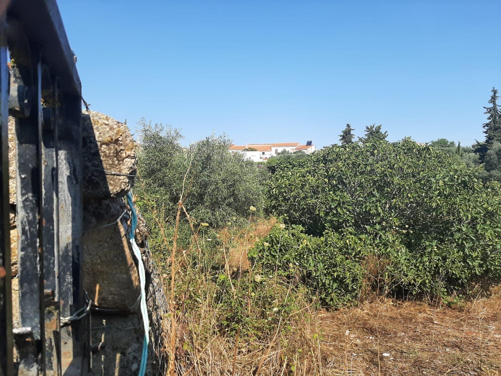 Land in Casas de Don Antonio, Cáceres for sale Primary Photo- Image 1 of 13