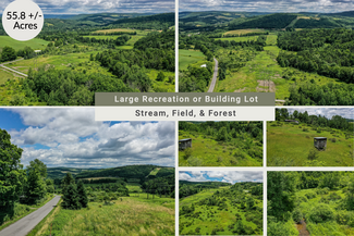 Plus de détails pour 4490 Parker Hollow Road, Sidney, NY - Terrain à vendre