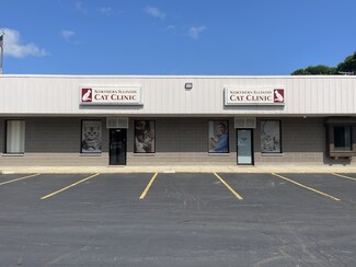 More details for 283-297 Peterson Rd, Libertyville, IL - Retail for Sale