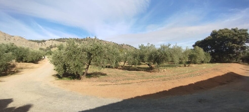 Camino Albarrate, Albolote, Granada à vendre - Aérien - Image 2 de 5
