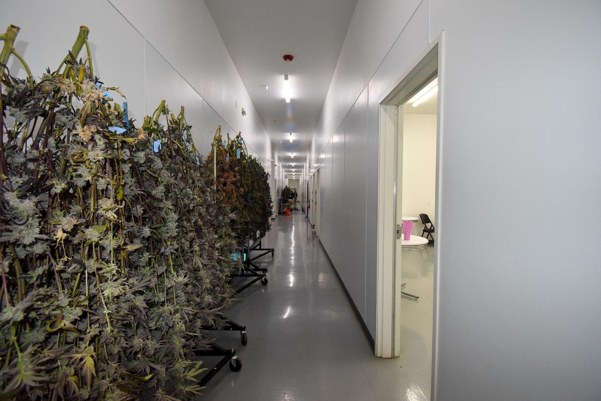 3241 Needles Hwy, Needles, CA à louer Photo intérieure- Image 1 de 5