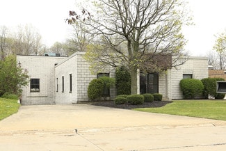 More details for 4517-4525 Renaissance Pky, Warrensville Heights, OH - Office for Lease