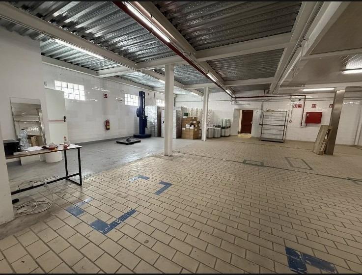 Industrial in Palma, Islas Baleares for lease Interior Photo- Image 1 of 16