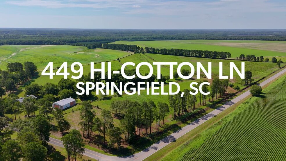 449 Hi-Cotton Ln, Springfield, SC à vendre - Vid o sur l inscription commerciale - Image 2 de 34