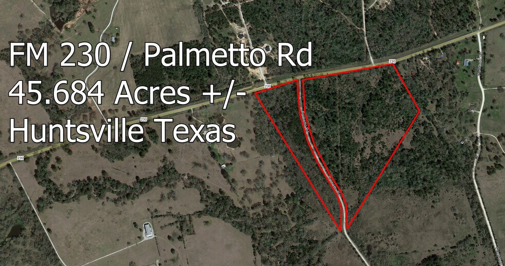0000 Palmetto rd, Trinity, TX à vendre - Photo principale - Image 1 de 10