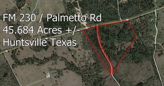 Plus de détails pour 0000 Palmetto rd, Trinity, TX - Terrain à vendre