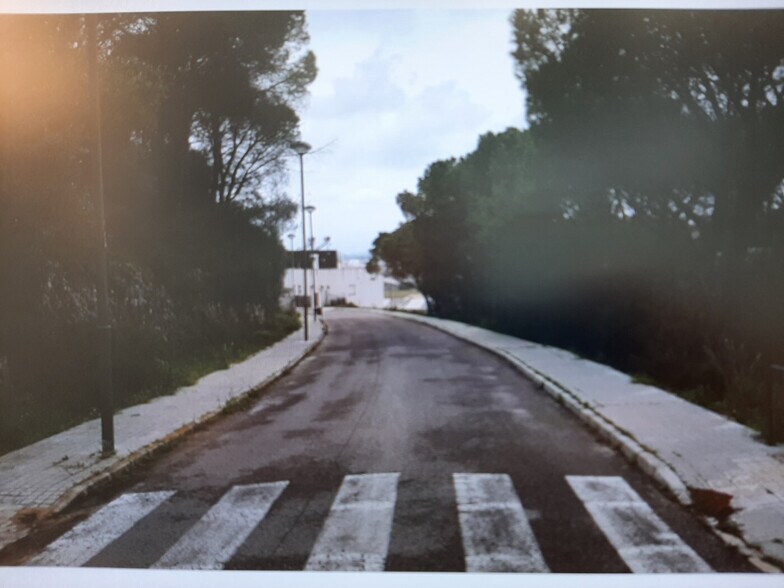 Land in Alzira, Valencia for sale - Primary Photo - Image 2 of 14