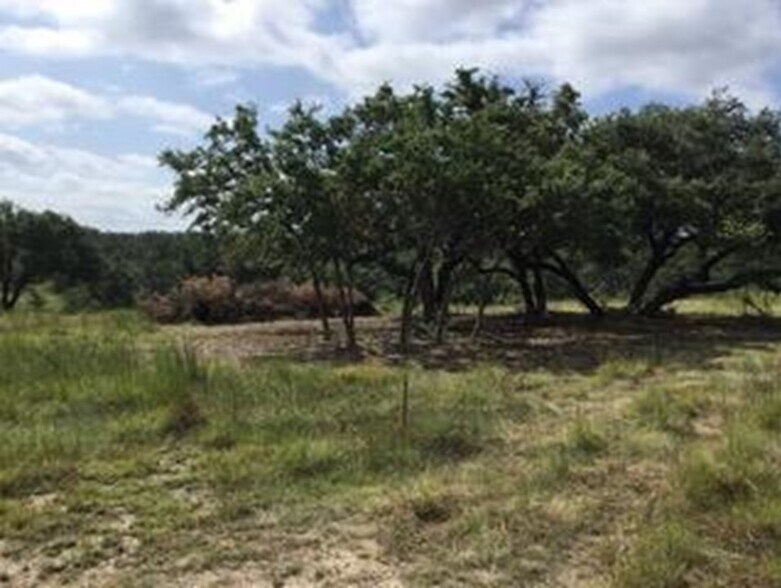 207 Verbena ct, Johnson City, TX à vendre - Photo du bâtiment - Image 3 de 19