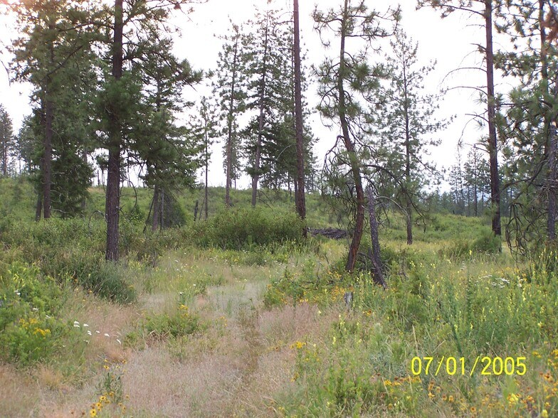Highland, Nine Mile Falls, WA à vendre - Photo du bâtiment - Image 2 de 3