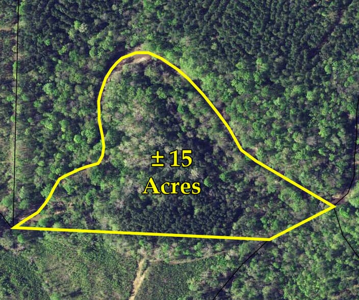 George Smith Road, Talbotton, GA à vendre - Photo principale - Image 1 de 1