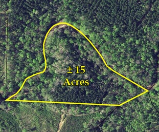 More details for George Smith Road, Talbotton, GA - Land for Sale