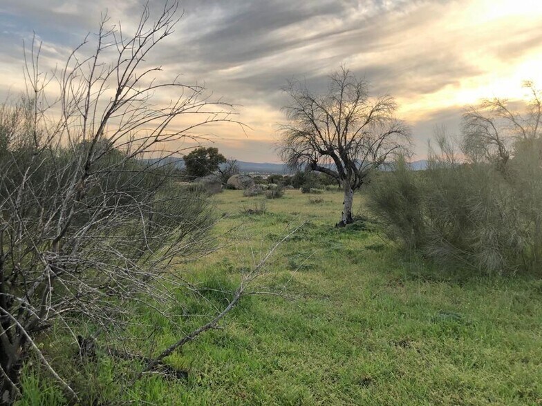 Land in Aldea del Cano, Cáceres for sale - Site Plan - Image 2 of 2