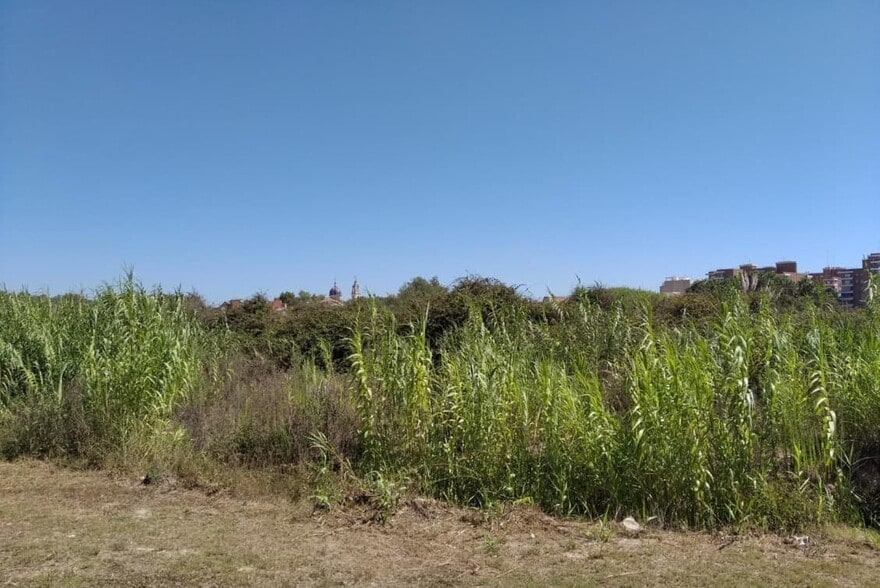 Finc, de, Sueca, Valencia for sale - Building Photo - Image 3 of 4