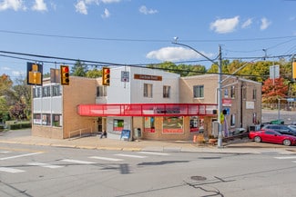 Plus de détails pour 300 Cedar Blvd, Pittsburgh, PA - Bureau/Médical à louer