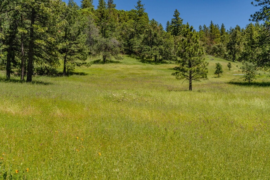25755 State Highway 88, Pioneer, CA for sale - Building Photo - Image 3 of 20