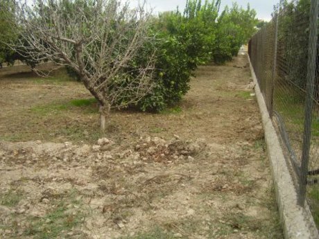 Terrain dans Molina de Segura, Murcia à vendre - Photo du bâtiment - Image 3 de 11