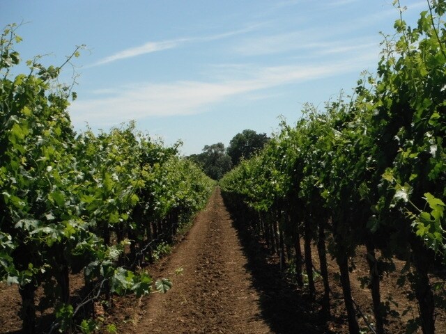 2574 Ledgewood Rd, Fairfield, CA à vendre - Photo du bâtiment - Image 3 de 9