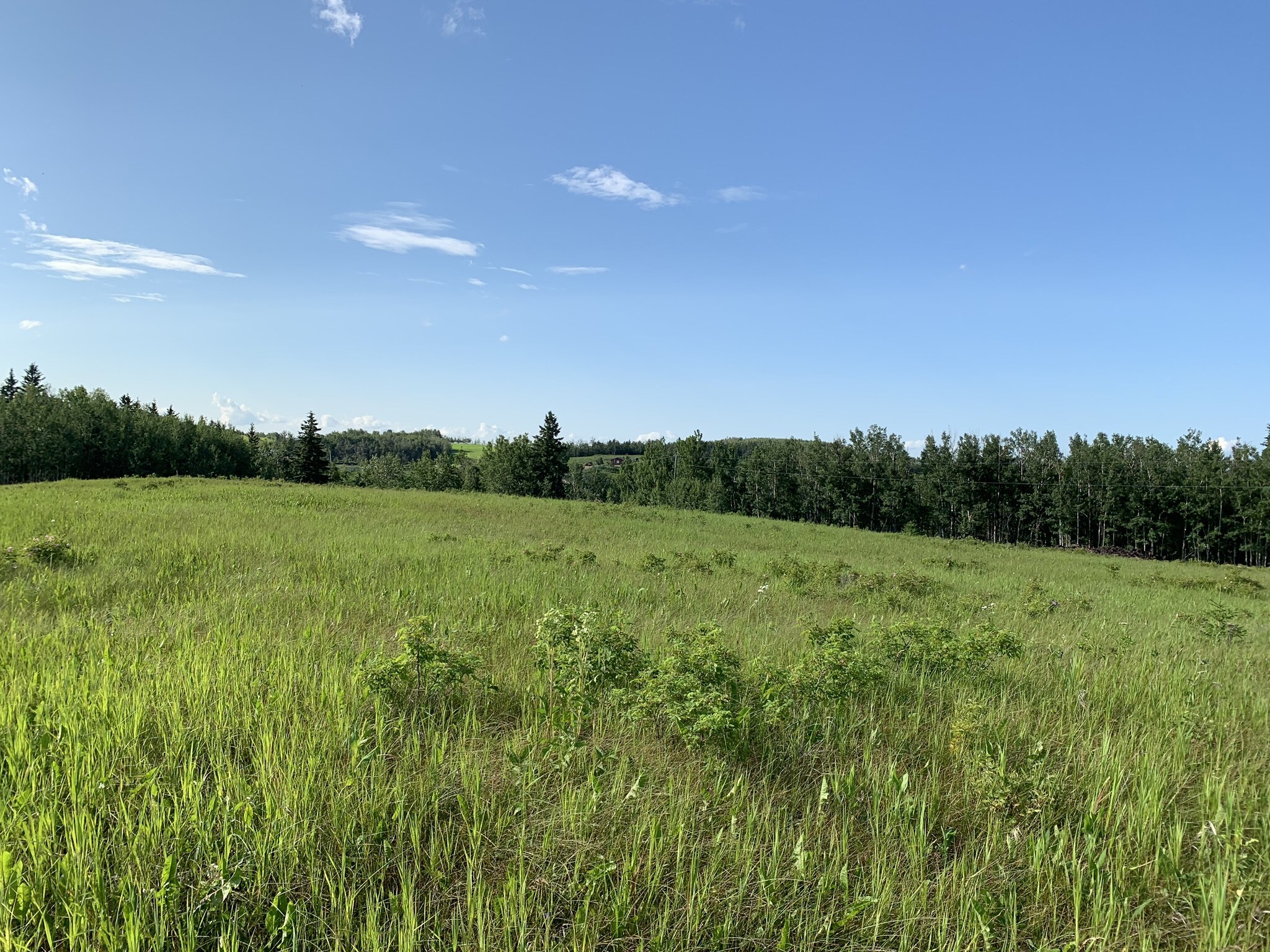 Hwy 16 and Range Road 64A, Parkland County, AB à vendre Autre- Image 1 de 1