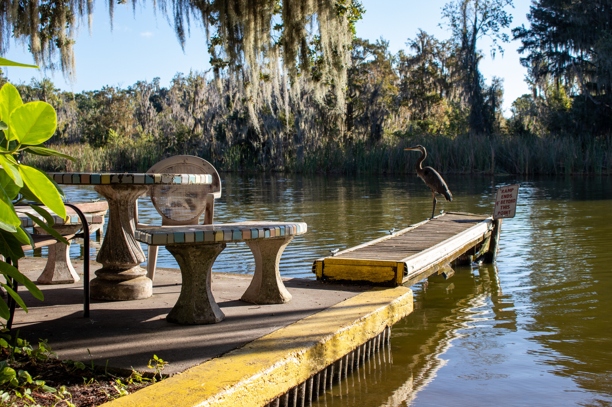 1661 Palm Garden St, Tavares, FL for sale Primary Photo- Image 1 of 1